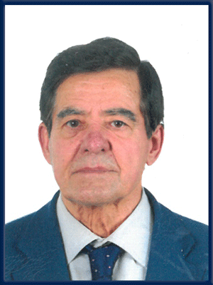 Franco Castellarin